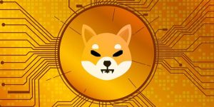 shiba coin