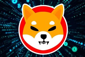 shiba coin là gì