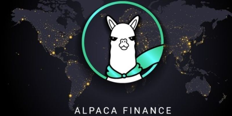 alpaca coin