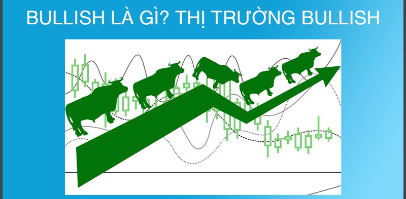 Đặc điểm thị trường bullish