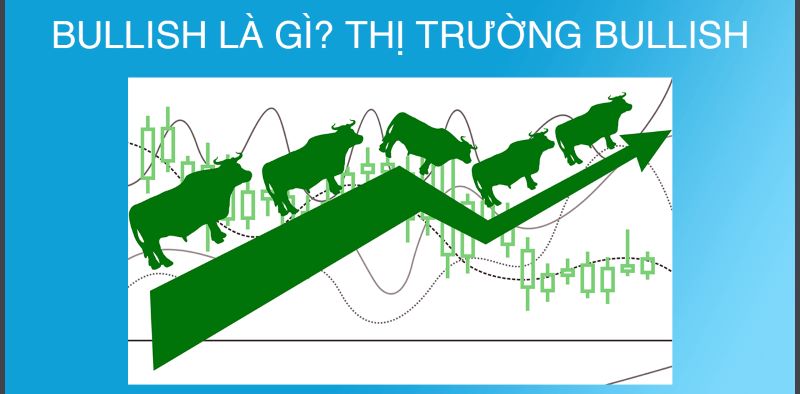 Bullish là gì? Thế nào là thị trường bullish?