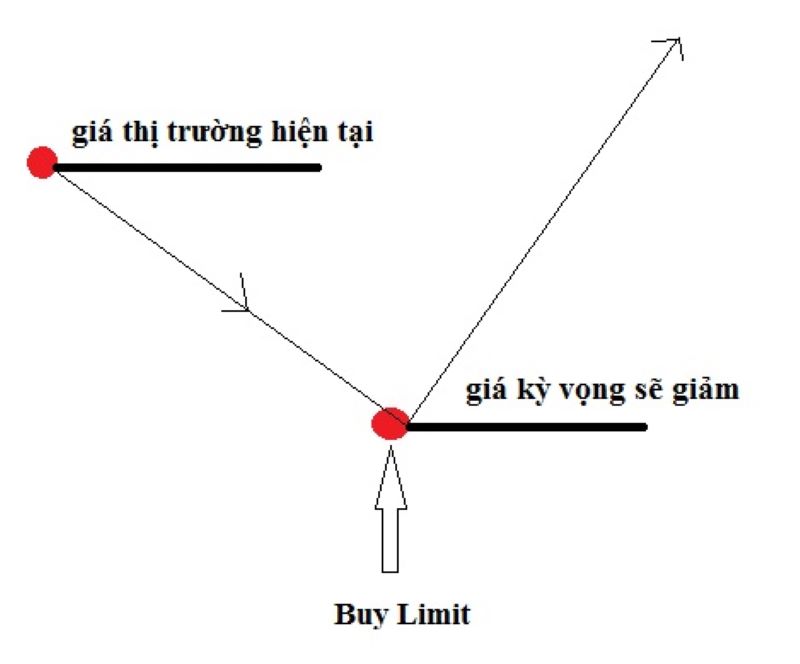 buy limit 