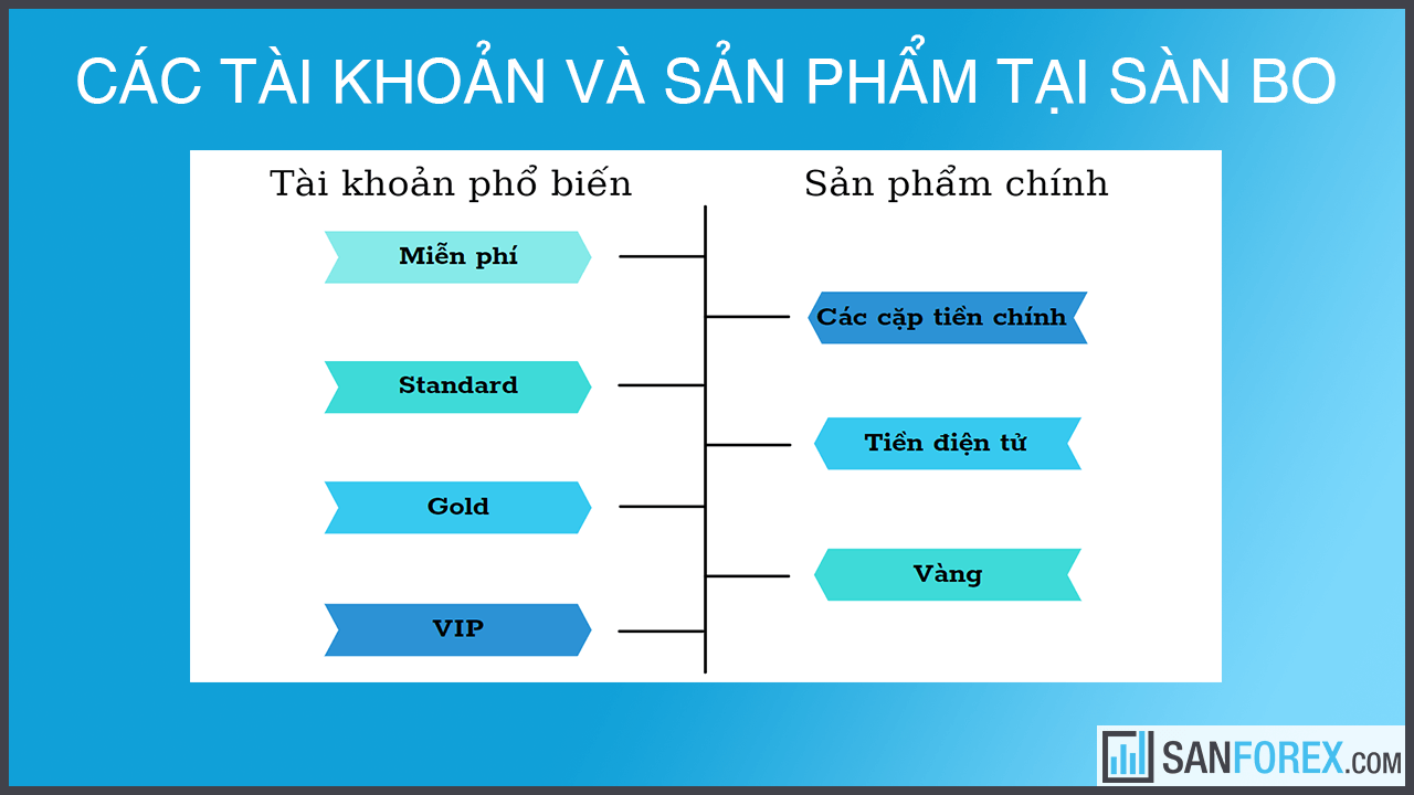 Hình thức đầu tư BO là gì?