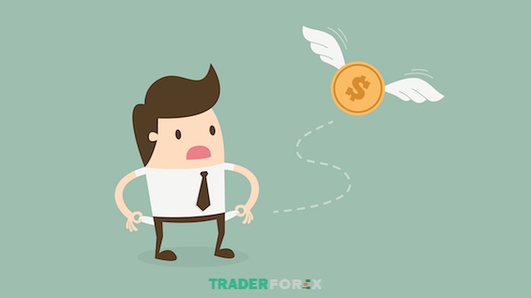 Cách xem giấy phép sàn Forex uy tín tại Việt Nam