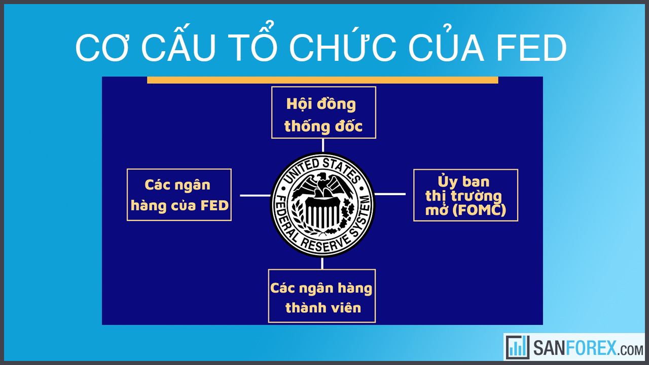 Cơ cấu tổ chức của Fed