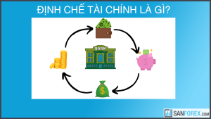 dinh che tai chinh la gi 1 1