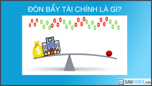 don bay tai chinh la gi 1 1