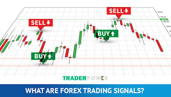 Các chỉ tiêu để chọn tín hiệu forex uy tín