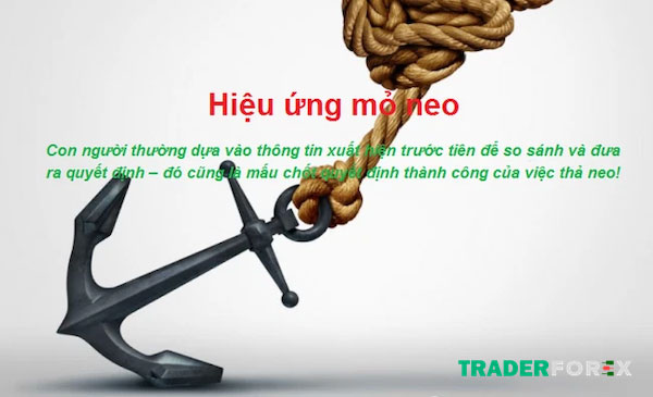 Chúng ta có thể hiểu hiệu ứng mỏ neo như thế nào?