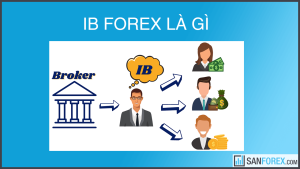 IB Forex là gì?