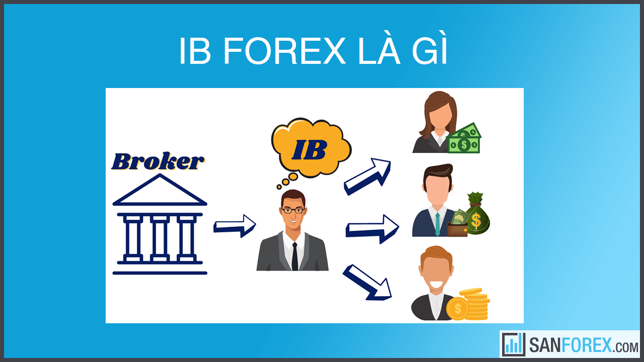 IB Forex là gì?