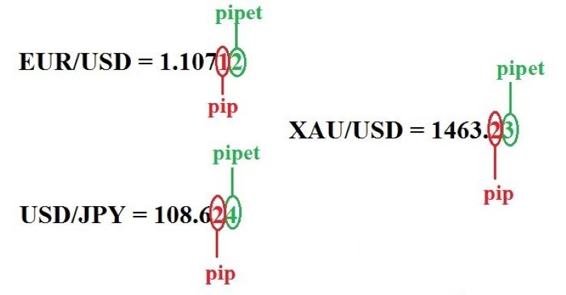 Pip là gì? Pipettes là gì?