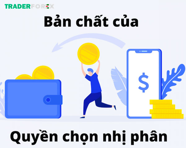 Tìm hiểu bản chất vấn đề là bước quan trọng khi bắt đầu một lĩnh vực