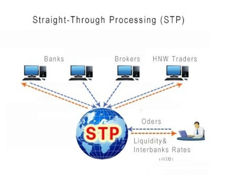 Sàn STP (STP Broker) là gì?