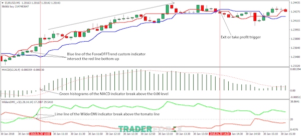 Kết hợp MACD trong phân tích thị trường với Scalping M5