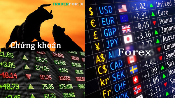 Nên lựa chọn chứng khoán hay forex?