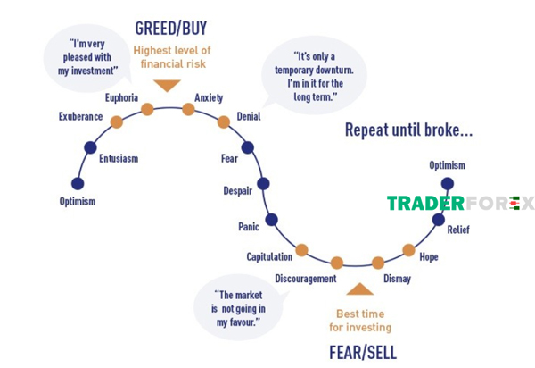 Cung bậc tâm lý giao dịch forex