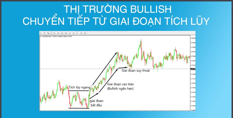 Thị trường bullish chuyển tiếp từ giai đoạn tích lũy