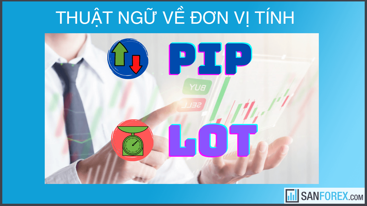 Các thuật ngữ về đơn vị tính