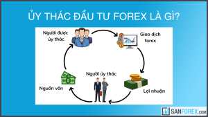 Ủy thác đầu tư forex là gì?