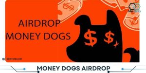 Money Dogs Airdrop