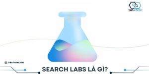 Search Labs là gì?